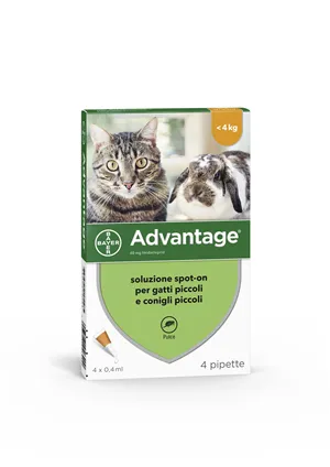 104373081-ADVANTAGE*4PIP 0