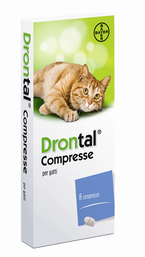 100315047-DRONTAL-GATTO 8CPR
