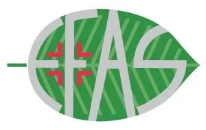 971390063-ARGAN 100 60ML