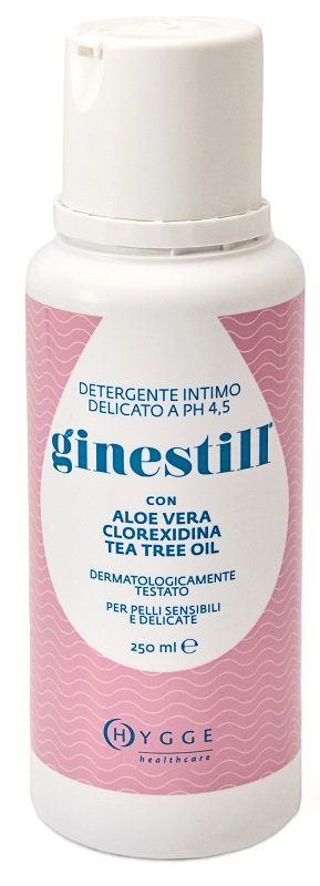 975095605-GINESTILL DETERGENTE LIQ 250ML