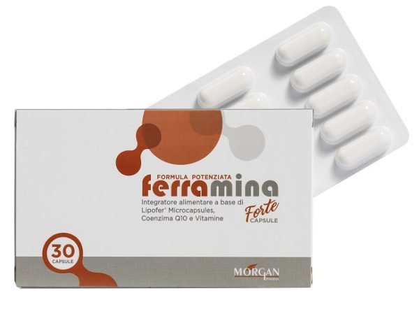 980925008-FERRAMINA FORTE 30CPS