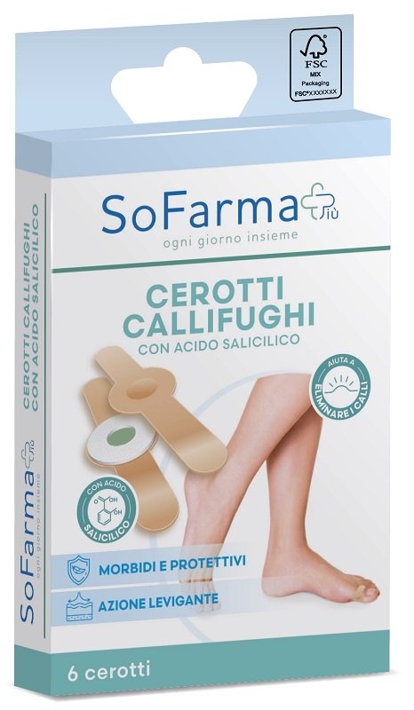 987844774-CEROTTO CALLIFUGHI TONDO 6PZ SF+