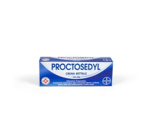 013868031-PROCTOSEDYL*POM 20G