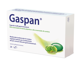 047478021-GASPAN*28CPS MOLLI GASTRORES