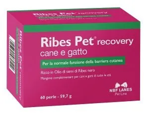 903596765-RIBES PET RECOVERY 60PRL