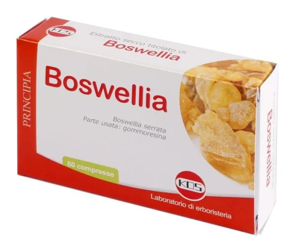 906094762-BOSWELLIA ES.SEC 60CPR 24G KOS