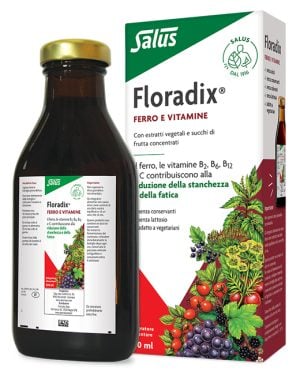 906706041-FLORADIX-INTEG FERRO 500ML