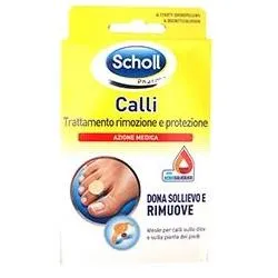924686924-SCHOLLS CER CALLIF TRATT R/PROT