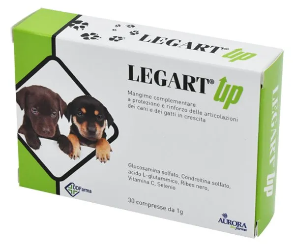 933907519-LEGART UP 30CPR VET