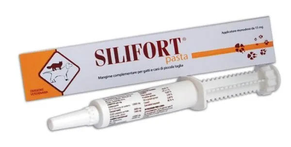 934322761-SILIFORT PASTA OS SIRINGA 30G