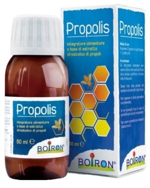 941973190-PROPOLIS BOI 60ML