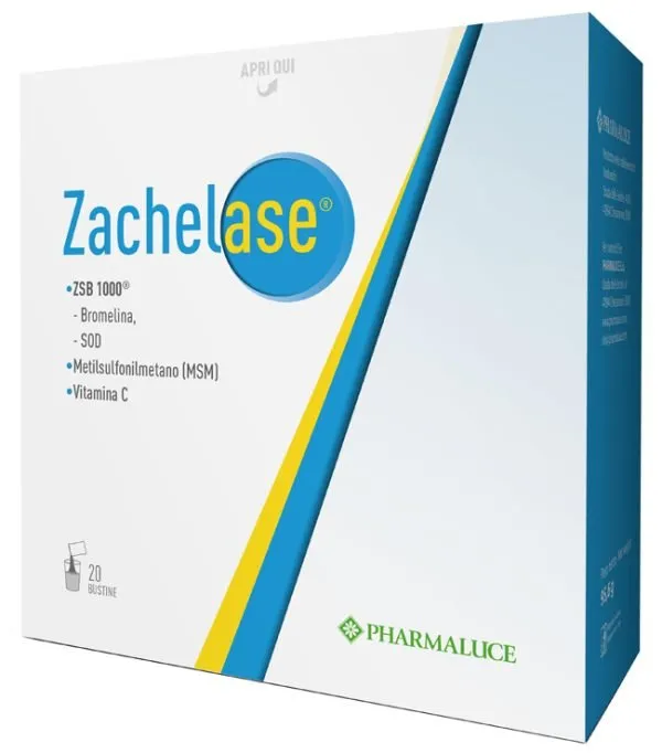 942610116-ZACHELASE 20BUST