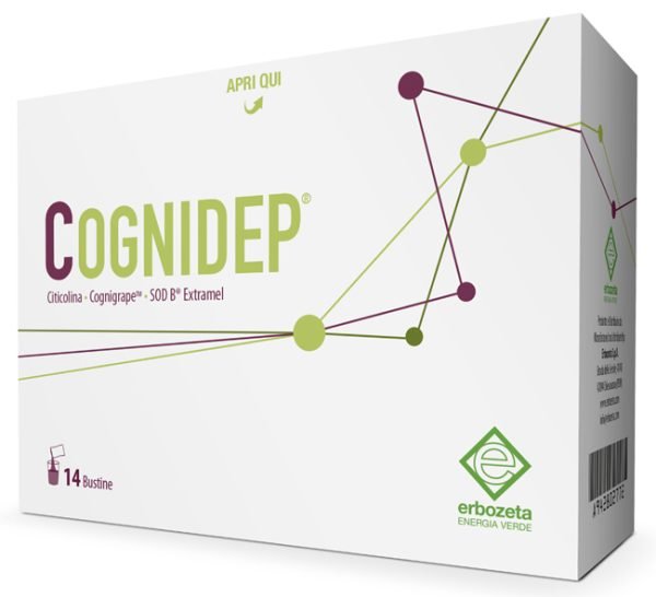 942802772-COGNIDEP 14BUST