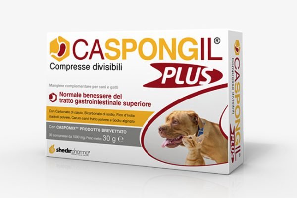 945100574-CASPONGIL PLUS 30CPR