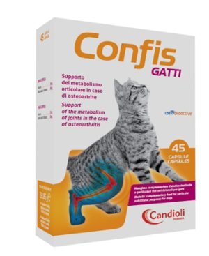 975985767-CONFIS GATTI 45CPS