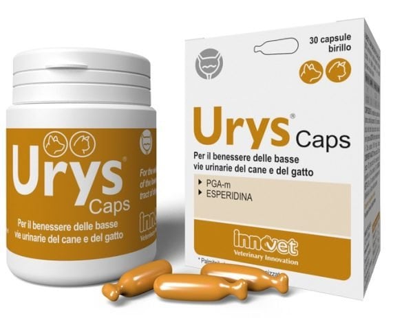 982683068-URYS CAPS 30CPS