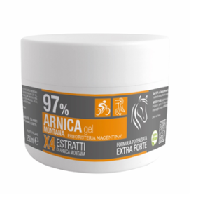 983752383-ARNICA 97% GEL 250ML ERB MAGENTI
