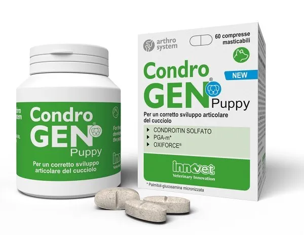 989362571-CONDROGEN PUPPY 60CPR INNOVET