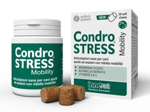 989362619-CONDROSTRESS MOBILITY 30CHEWS IN