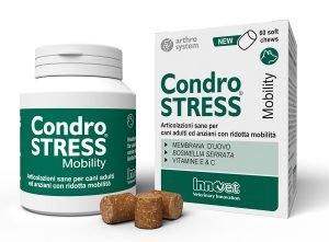 989362621-CONDROSTRESS MOBILITY 60CHEWS IN