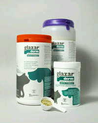 909831238-GLAZAR-DERM N.F.150GR VET
