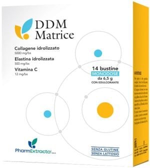 922862610-DDM MATRICE 14BUST OMEOP