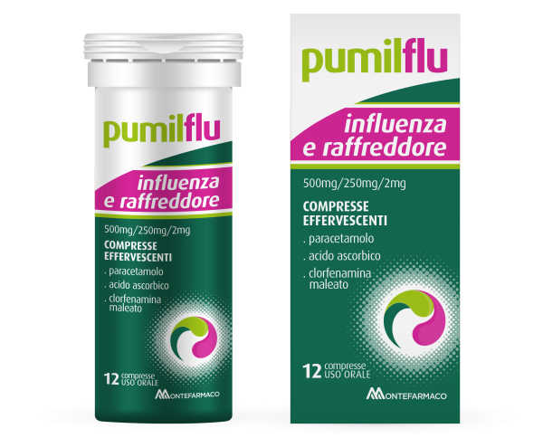 049484013-LEVIOFLU INFLUENZA E R*12CPR