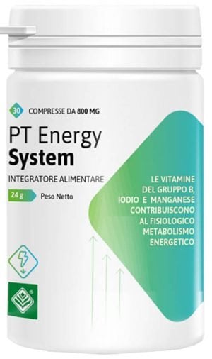 935605271-PT ENERGY SYSTEM 30CPR 24G