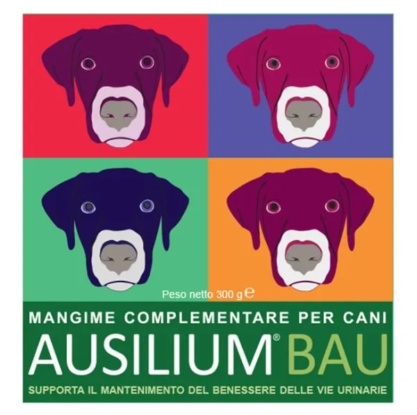 975049317-AUSILIUM BAU 300GR C/MISURINO DE