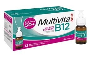 989270602-MULTIVITAMIX B12 12FL