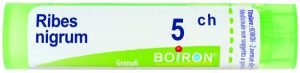 800200750-Ribes Nigrum 5 Ch g 4g}