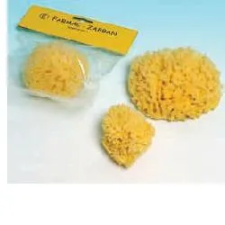 909429250-SPUGNA NAT MARE 2 ZABB