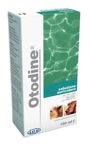 912255748-OTODINE DET LIQ 50ML