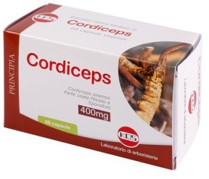 924204581-CORDICEPS ESTR SECCO 60CPS KOS