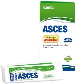 944631504-ASCES 10BUST