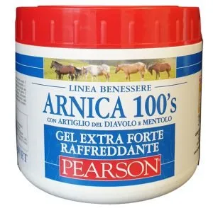 971223767-ARNICA 100'S GEL EX FT RAFF500