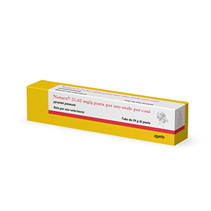 100085036-NEMEX-CANI PASTA 24 GR VET