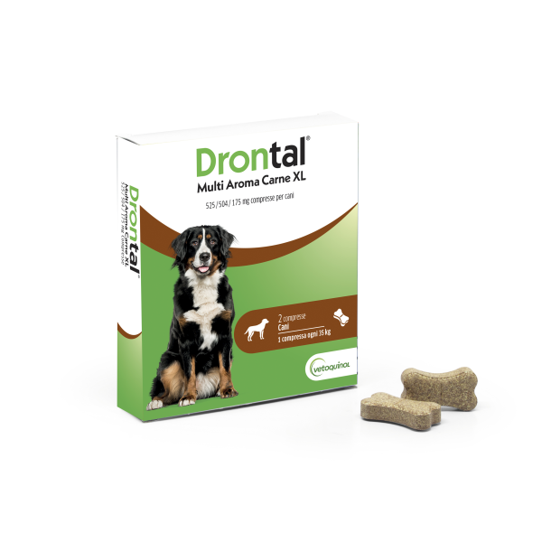 104701077-DRONTAL-MULTI AR CARNE XL*2CPR