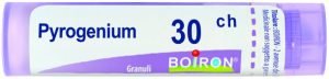 800024541-PYROGENIUM 30CH GR BO