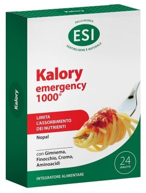 907287027-KALORY EMERGENCY 1000 24OV ESI