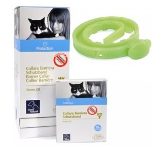 920586904-PROTECTION COLLARE BARRI GATTO<