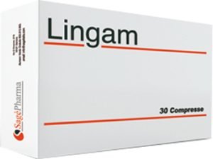 921535086-LINGAM INTEG 30CPR