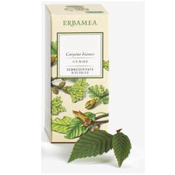 921563274-FICUS CARICA GEMME GEMMODER