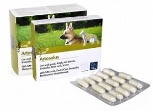 921682860-ARTOSALUS ORME NAT 60CPR VET