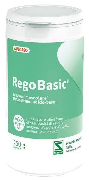 924181112-REGOBASIC POLVERE 250G