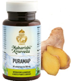 930617598-PURAMAP 60CPS