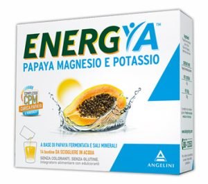 934844325-BS PAPAYA FERM MAGN/POTAS 14BUST