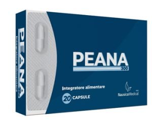 942694581-PEANA 300 20CPS