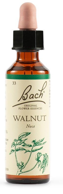 942860103-BACH WALNUT ORIG 20ML
