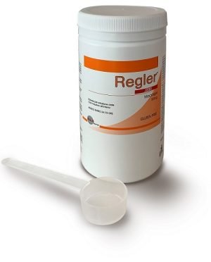 947073413-REGLER 200G